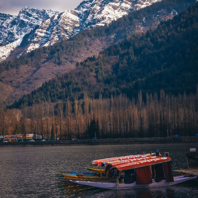images/insta/Kashmir Tour Package 4 Nights 5 Days.jpg